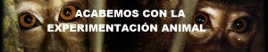 acabemosconlaexperimentacionanimal