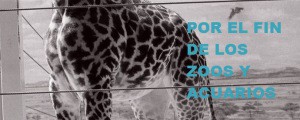banner-porelfindeloszoosyacuarios